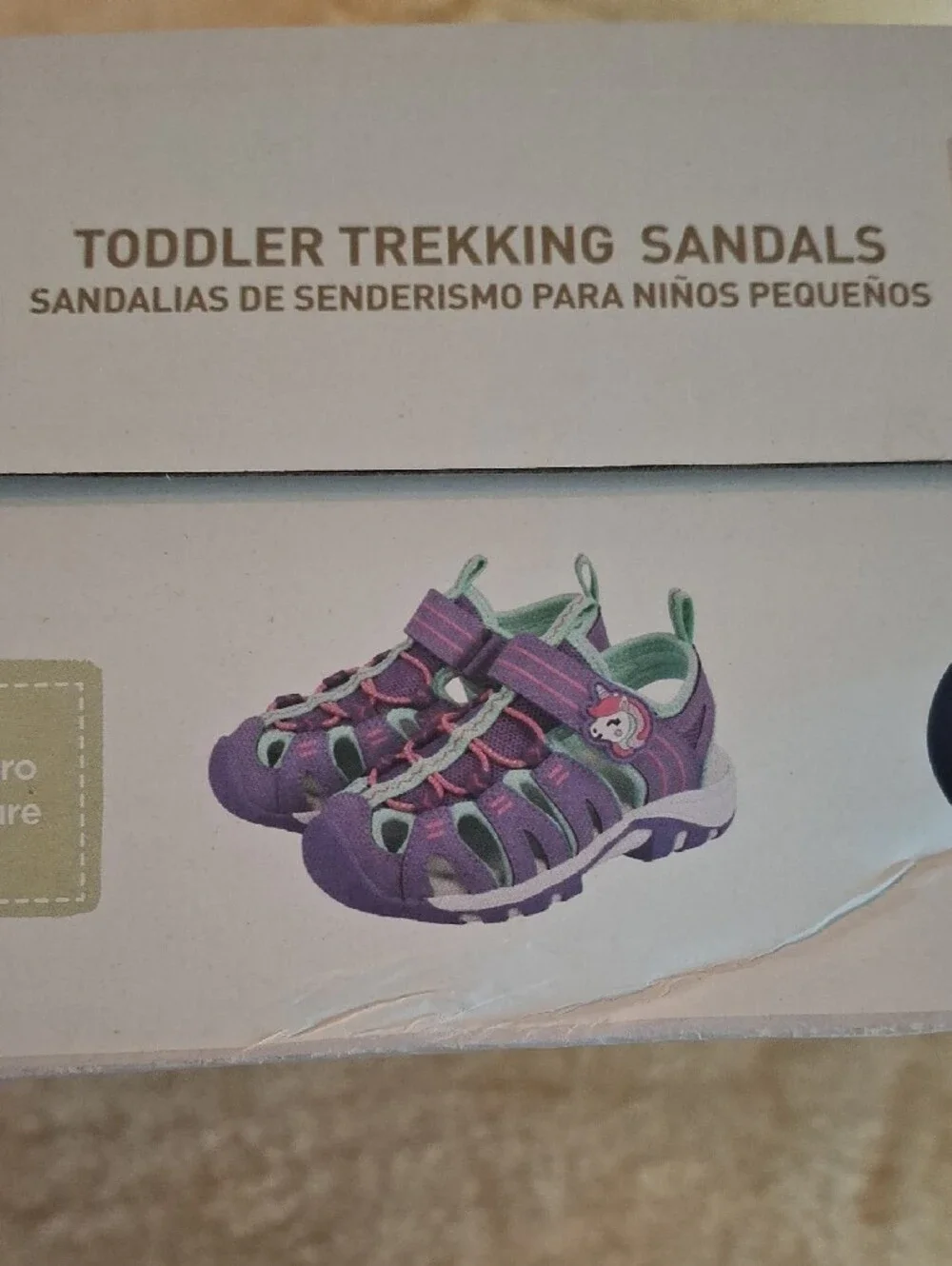 Lily & Dan Kids' Purple Water Shoes with Teal Accents
